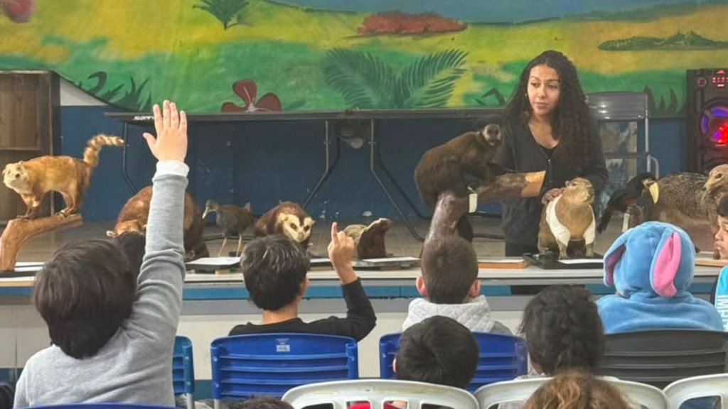 Escola de Imbituba recebe exposição de animais taxidermizados para conscientizar estudantes sobre a fauna da Mata Atlântica