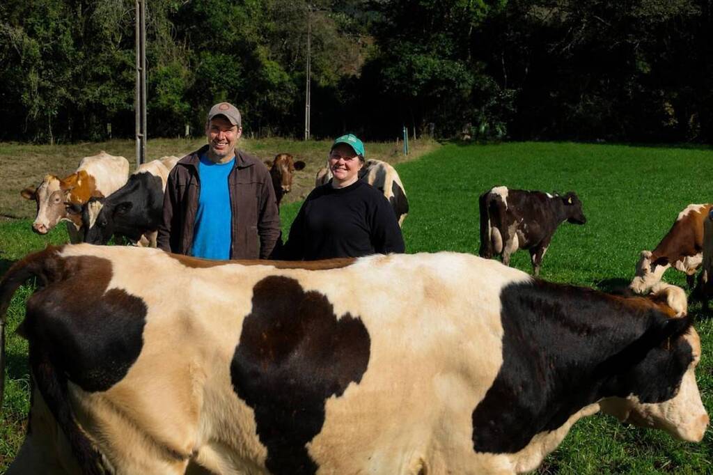 Santa Catarina mostra sua força na produção de leite