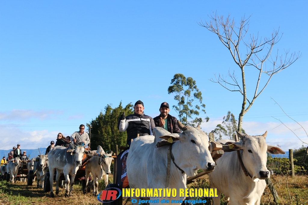 Imagem 14
