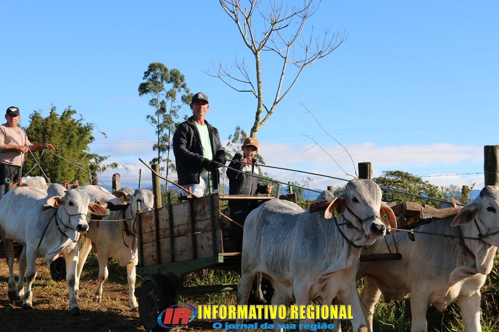 Imagem 17