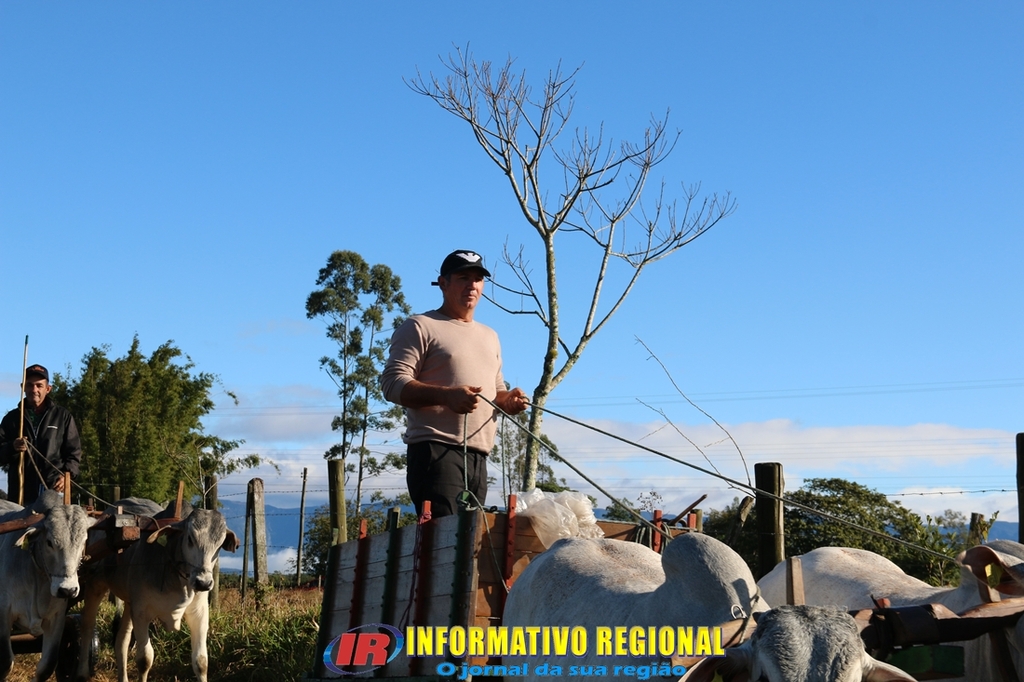 Imagem 18