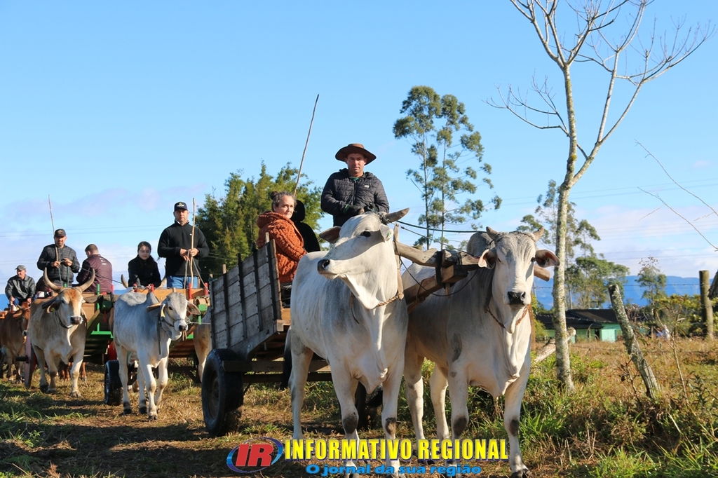 Imagem 26