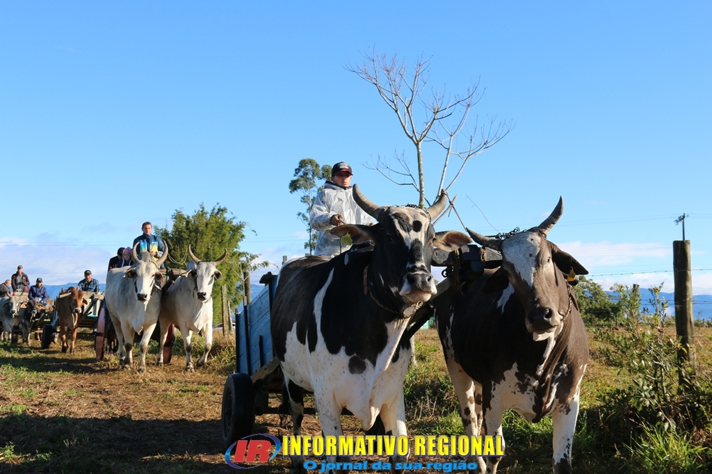 Imagem 35