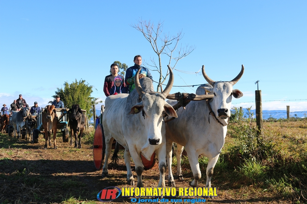 Imagem 36