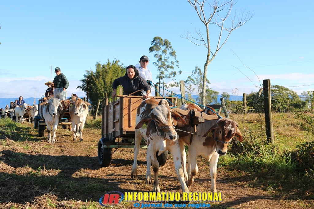 Imagem 45