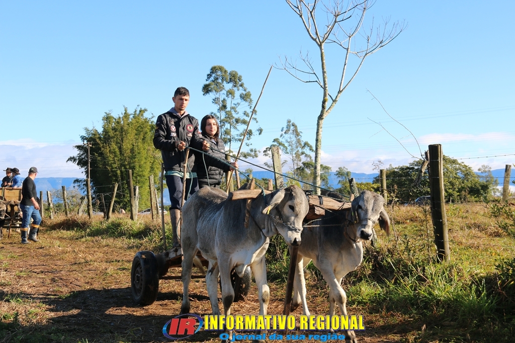 Imagem 57