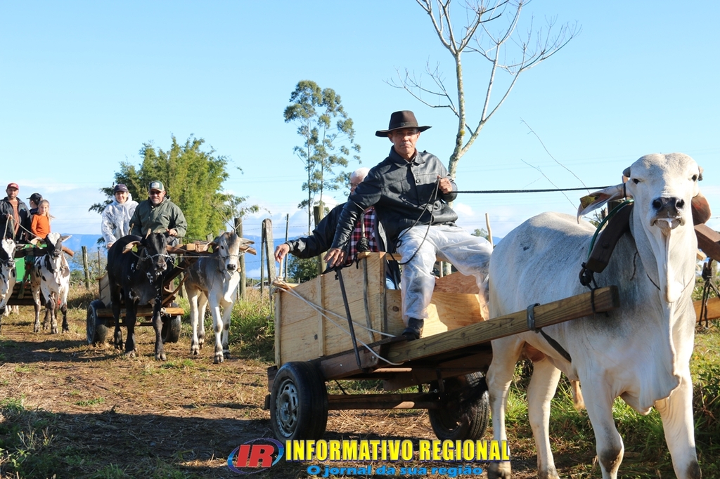 Imagem 59