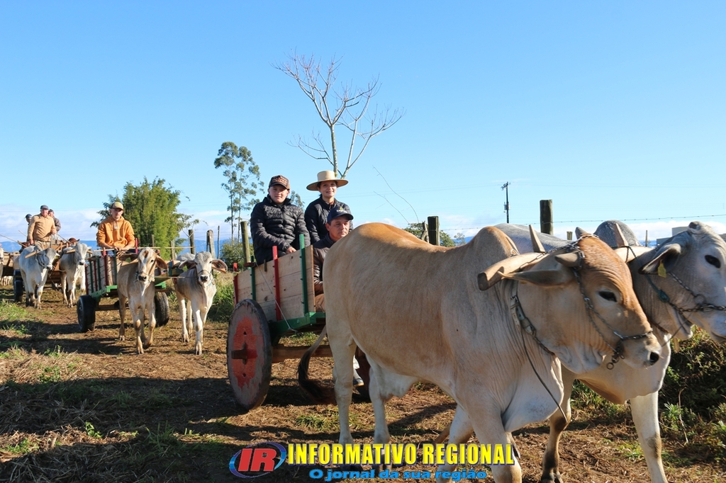 Imagem 86