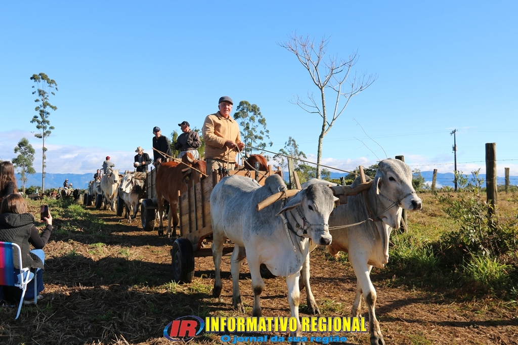 Imagem 88