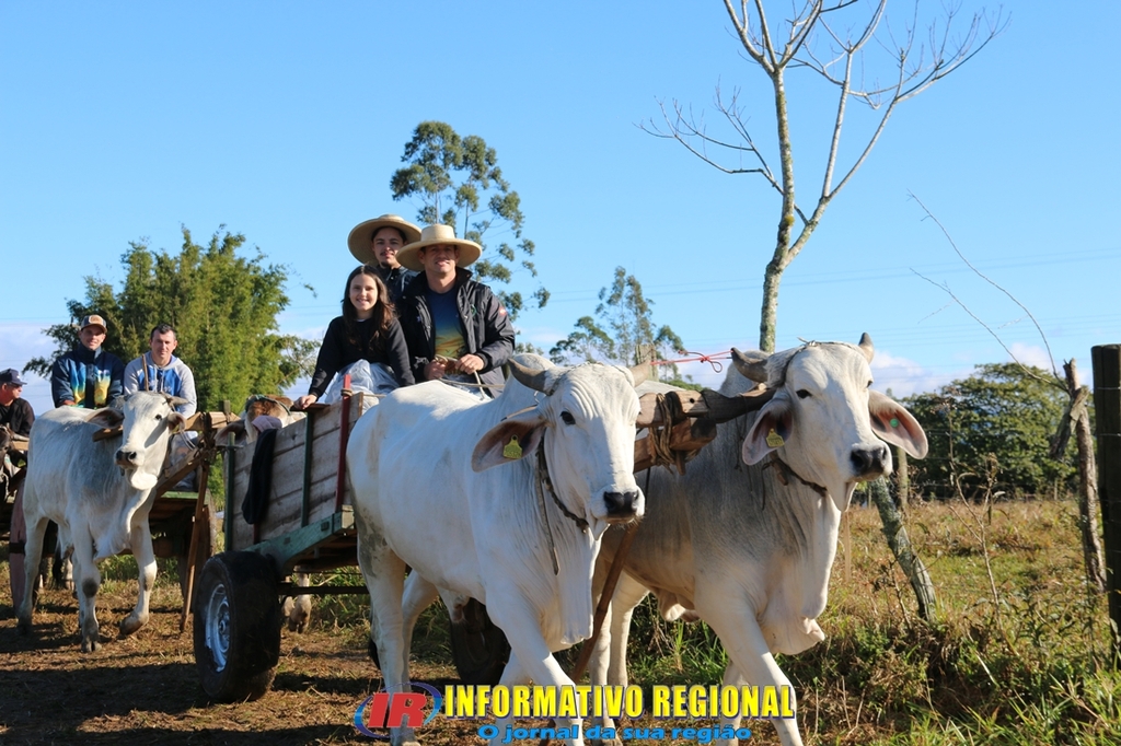 Imagem 102