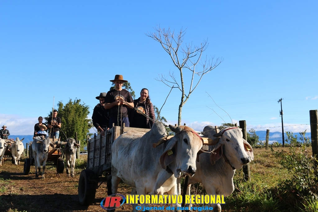 Imagem 105