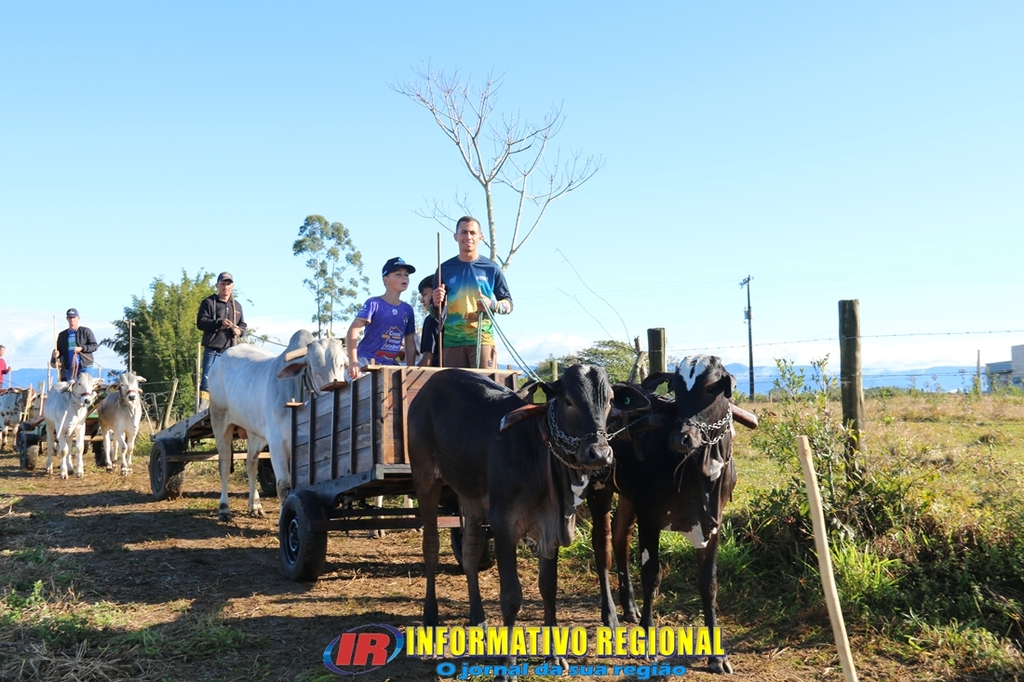 Imagem 111