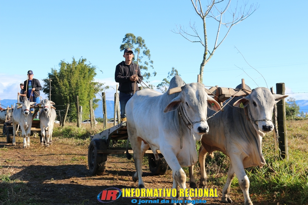 Imagem 112