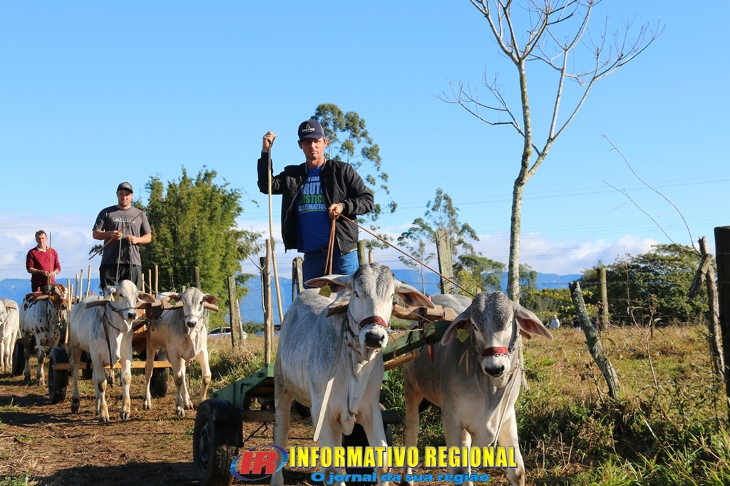 Imagem 113