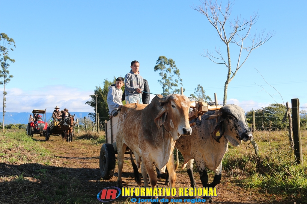 Imagem 121