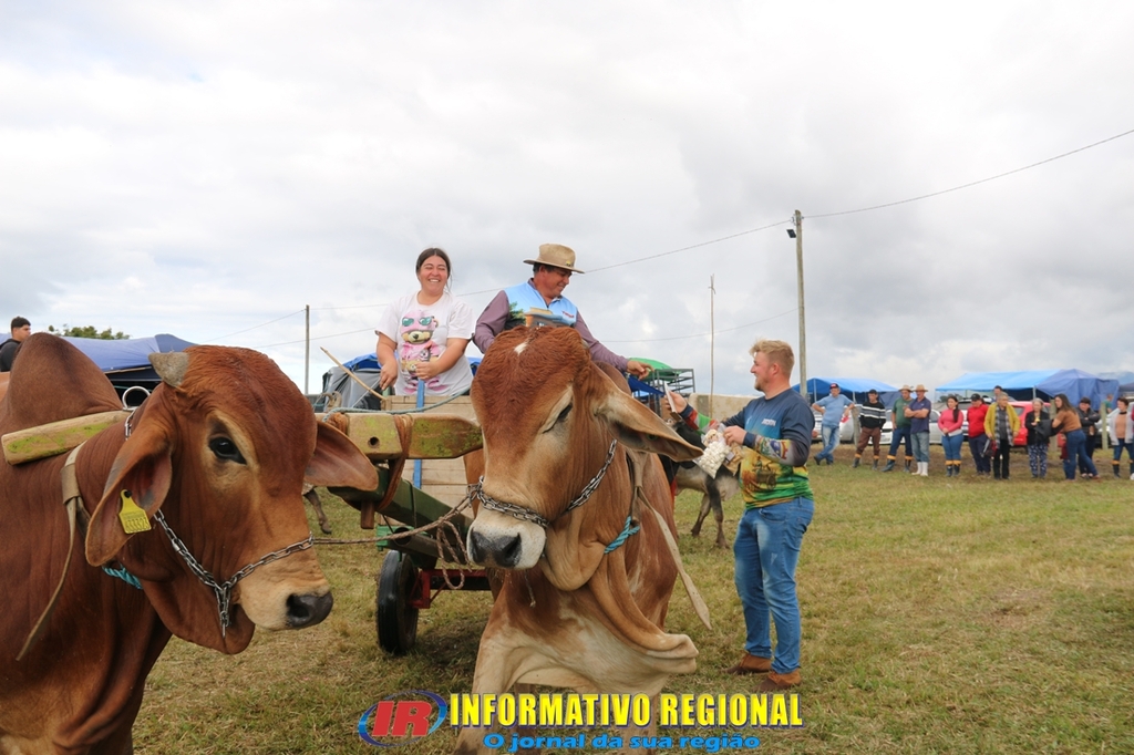 Imagem 166