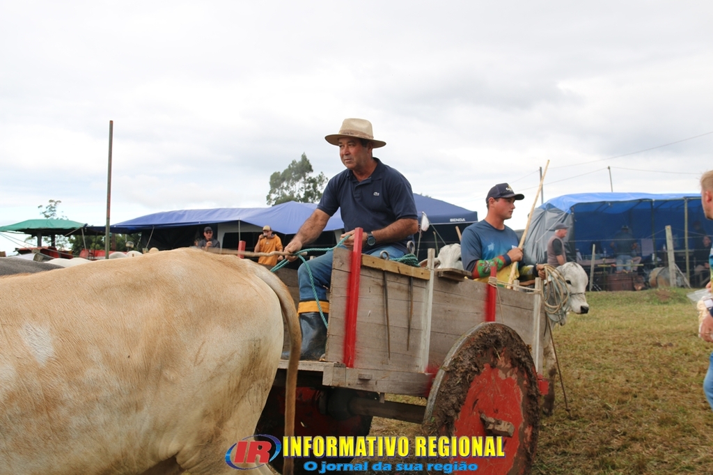 Imagem 276