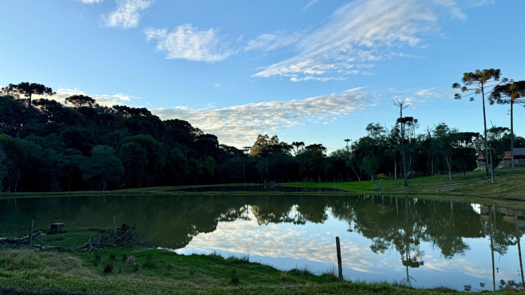 Prefeitura lança concurso fotográfico para valorizar a cultura da erva-mate