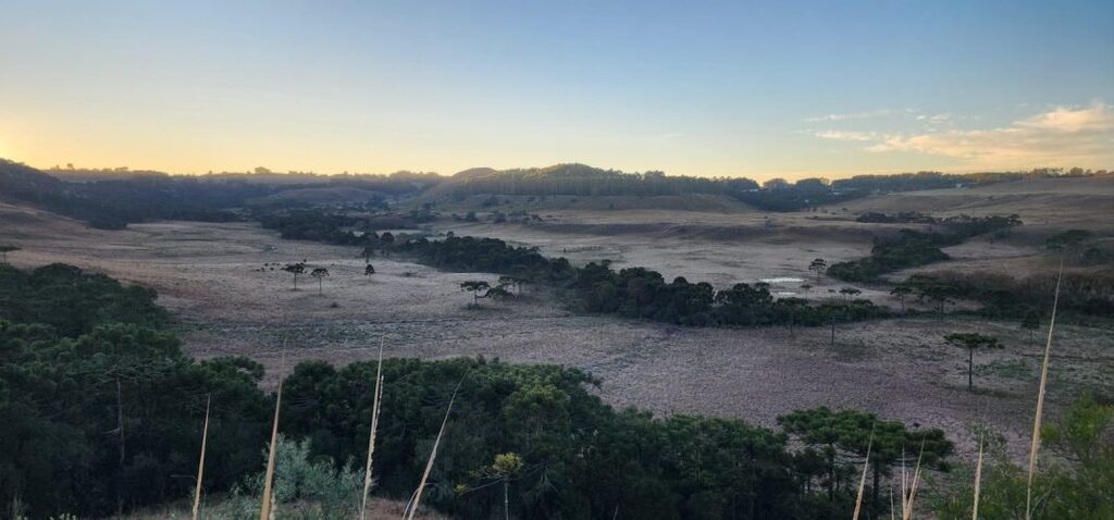 Frio intenso se despede com geada e abre caminho para fim de semana de calor