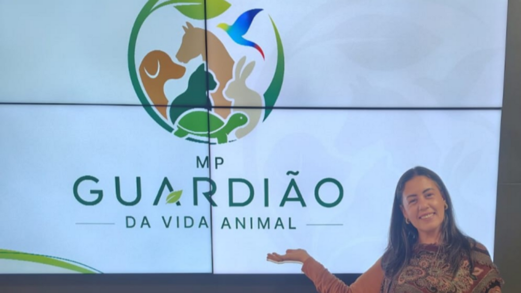 Imagem principal artigo