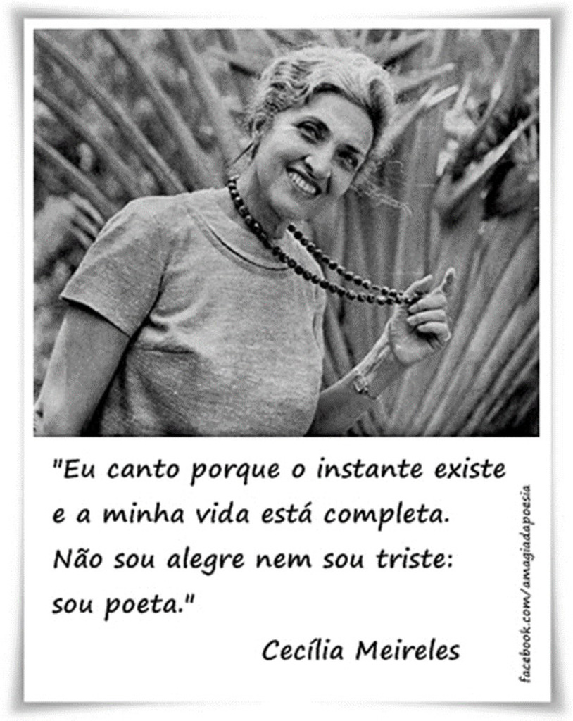 Imagem 5