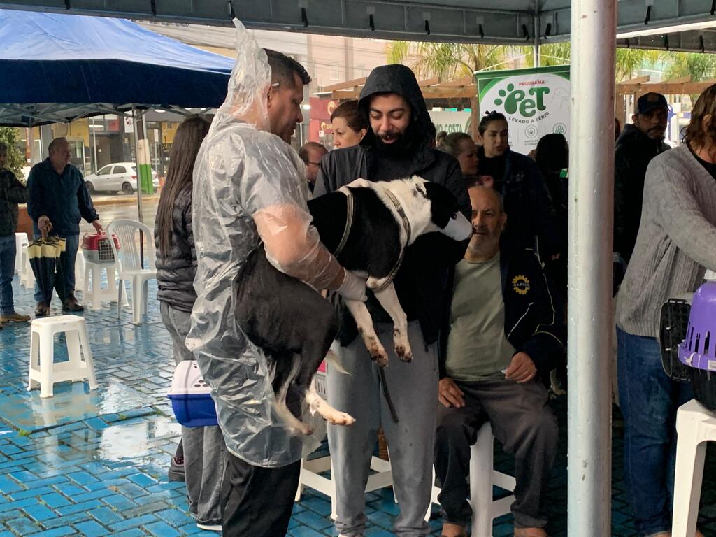 Campanha de Castração beneficia 124 cães e gatos em Otacílio Costa