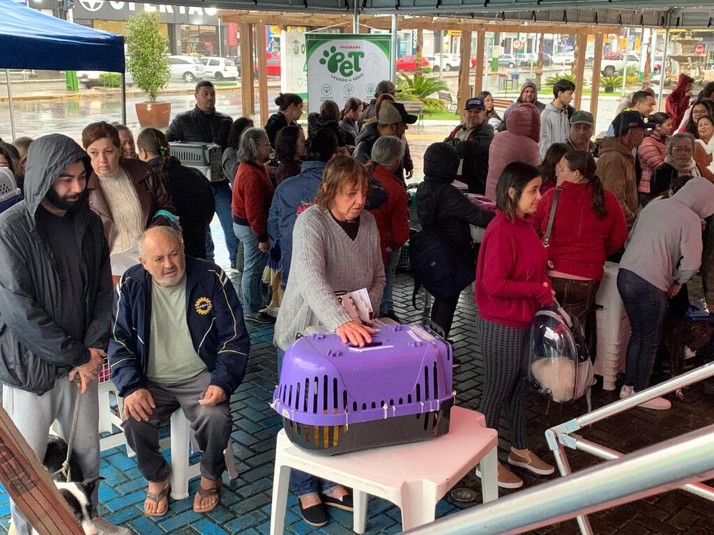 Campanha de Castração beneficia 124 cães e gatos em Otacílio Costa