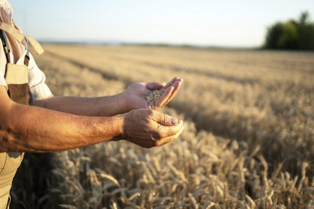 PLANO SAFRA 2025/26 EXPÕE NOVA FASE DO FINANCIAMENTO NO AGRO