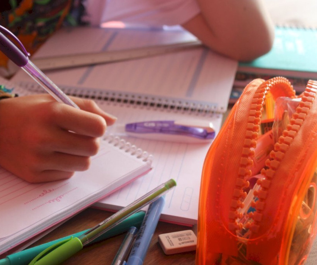 Diário Oficial da Alesc publica relação de concorrentes ao prêmio Paz nas Escolas