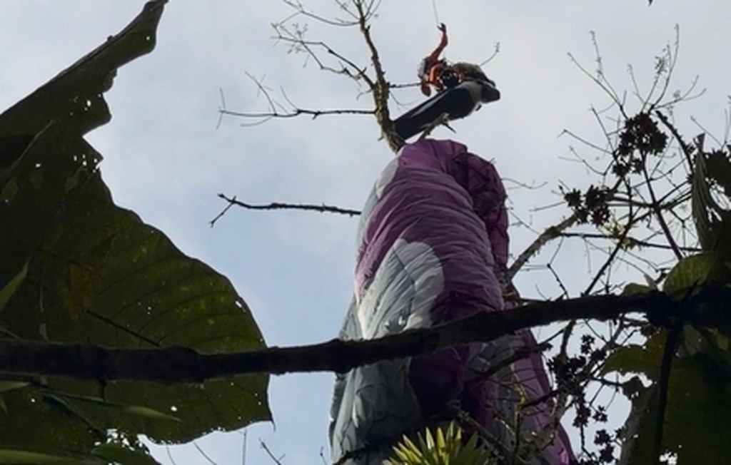 Homem fica preso em árvore após sofrer queda de parapente em Timbó