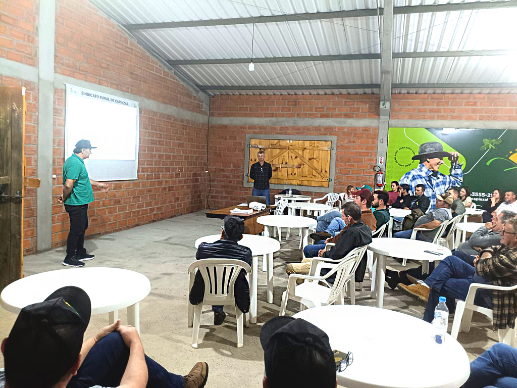 Imagem 2
