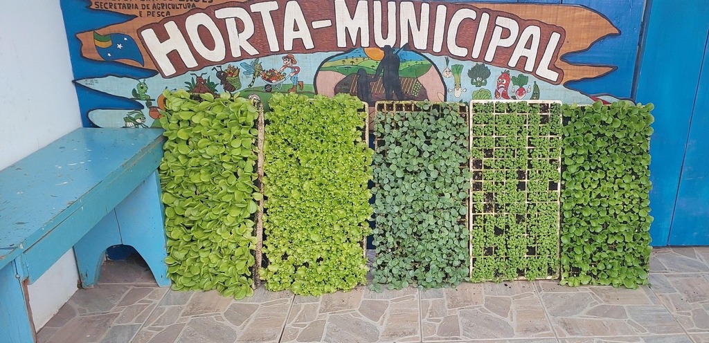 https://suitacdn.cloud-bricks.net/fotos/15891675/file/desktop/05-08-2026_09-38445.jpg?1785957065
