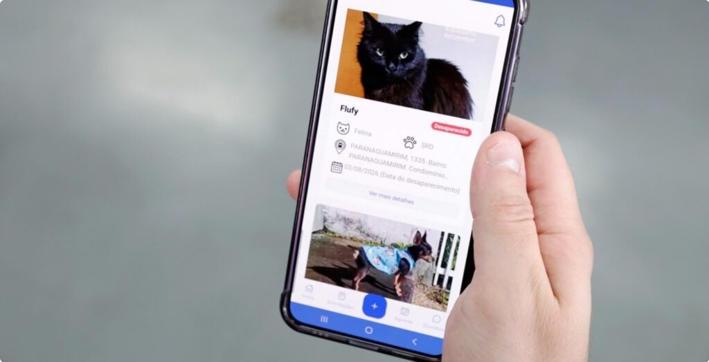 Funcionalidade “Pet Desaparecido” do app Joinville Fácil completa um mês