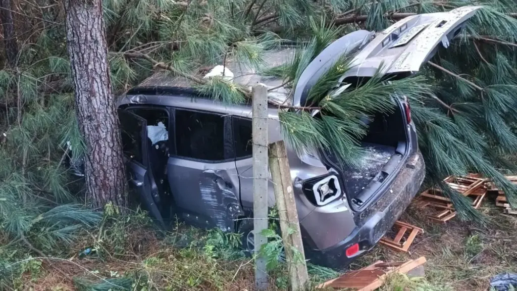 Homem fica ferido após carro sair da pista e bater em árvore em Lebon Régis