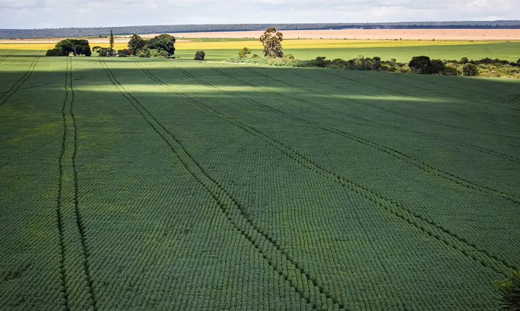 Senado aprova plano para fabricação de fertilizantes no Brasil