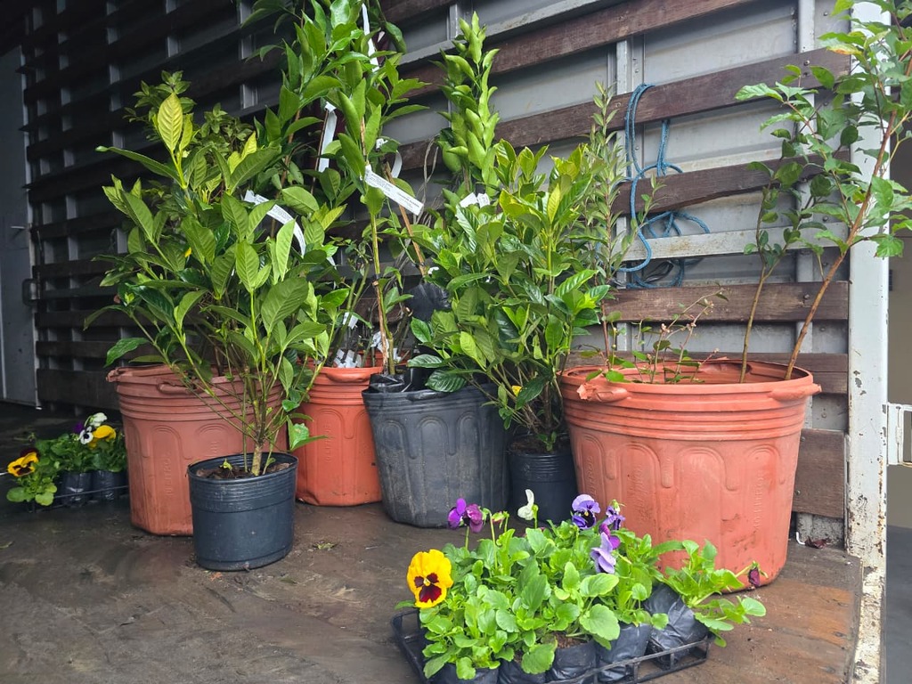 https://suitacdn.cloud-bricks.net/fotos/15892787/file/desktop/WhatsApp%20Image%202026-08-12%20at%2009.54.04.jpeg?1786562851