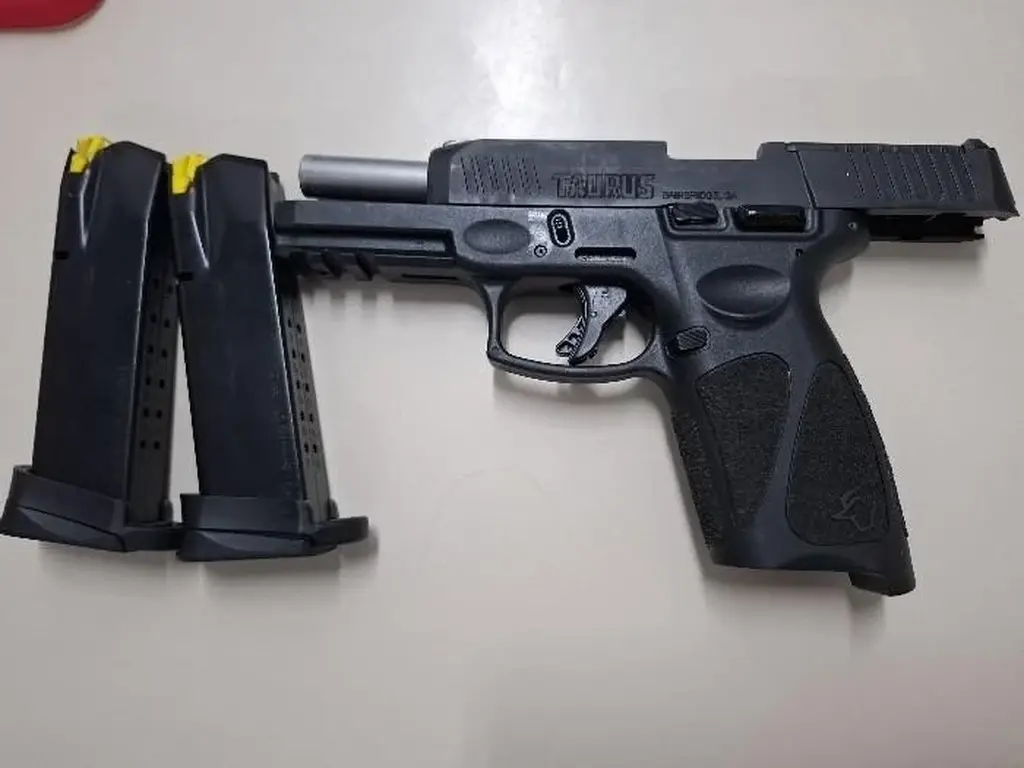 Violência doméstica em Luzerna termina com apreensão de armas e munições