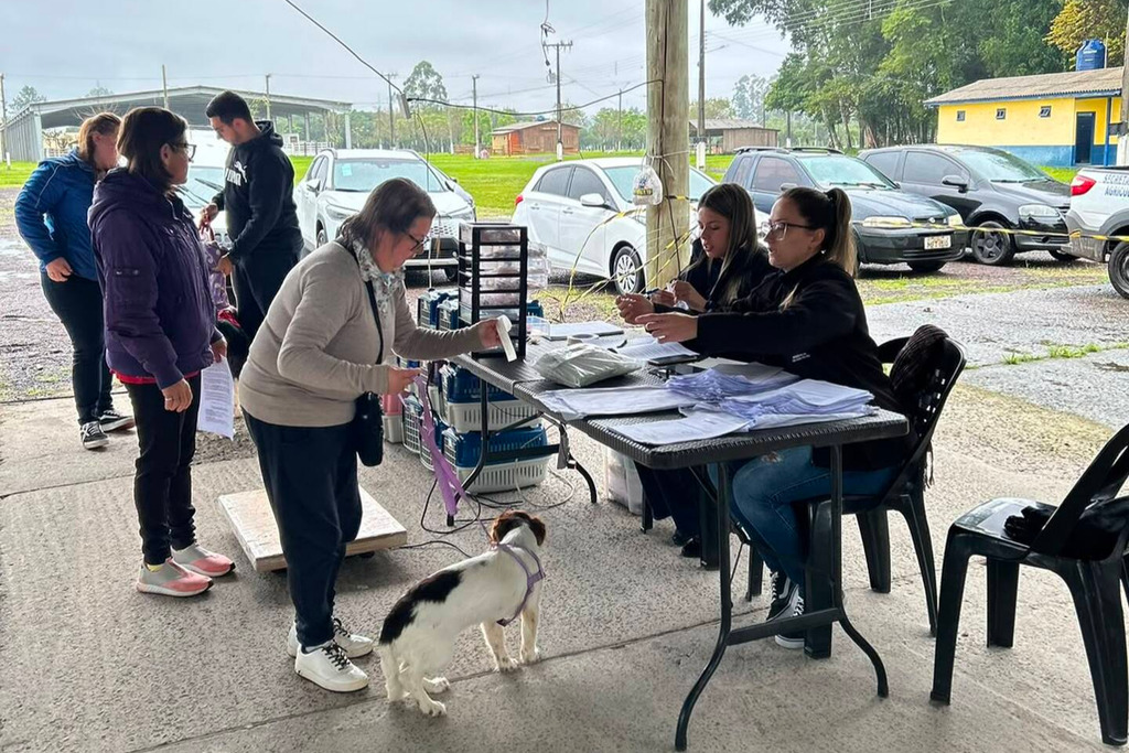 MUNICÍPIO DE SÃO JOÃO DO SUL REALIZA AÇÃO GRATUITA DE CASTRAÇÃO E MICROCHIPAGEMM DE CÃES E GATOS