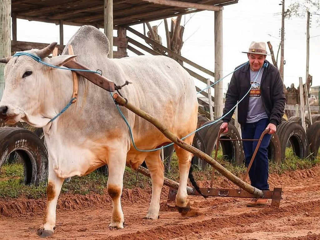 2ª FESTA DO CARRO DE BOI CELEBRA TRADIÇÃO E CULTURA RURAL EM SÃO JOÃO DO SUL