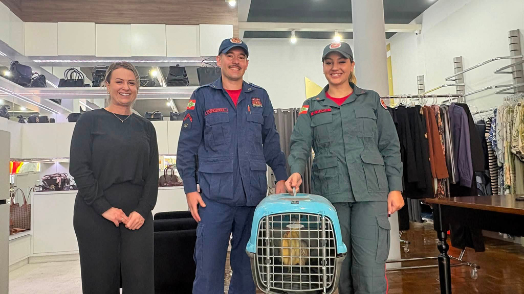 Pássaro faz visita inesperada à Loja ANGEL e é resgatado pelos bombeiros