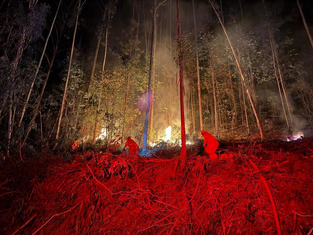 Incêndio florestal consome cerca de 6 mil metros quadrados de vegetação no Meio-Oeste