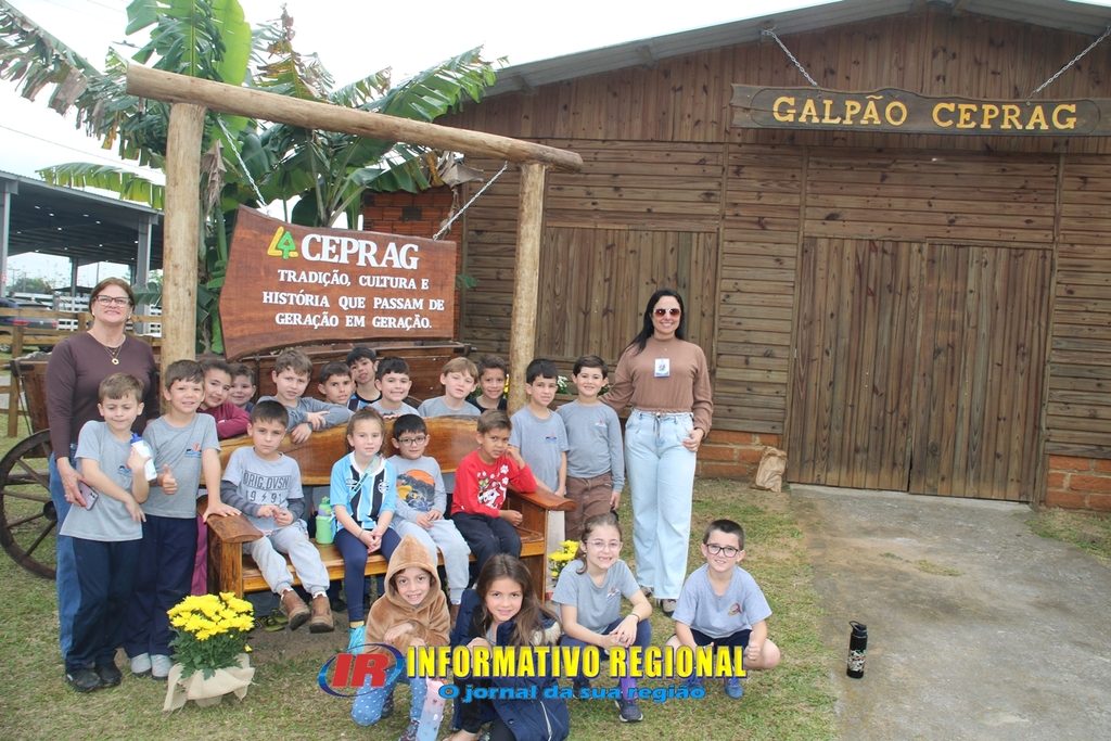 Imagem 5
