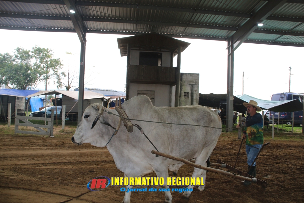 Imagem 45