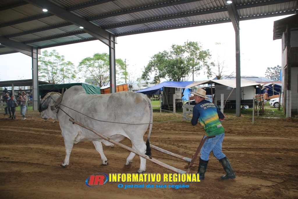 Imagem 46
