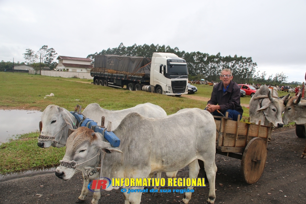 Imagem 13