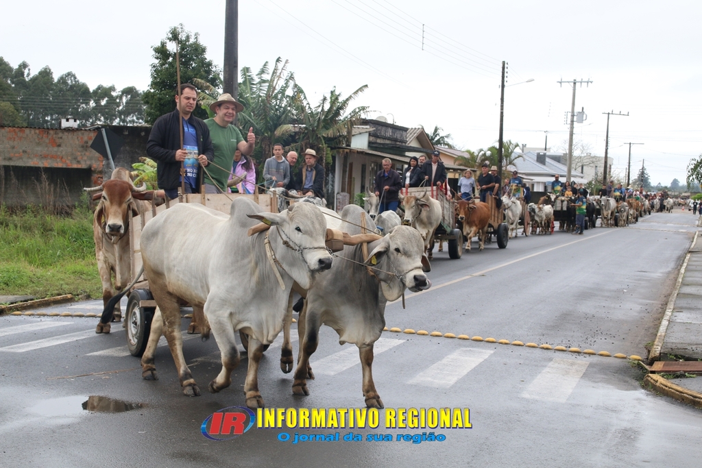 Imagem 15