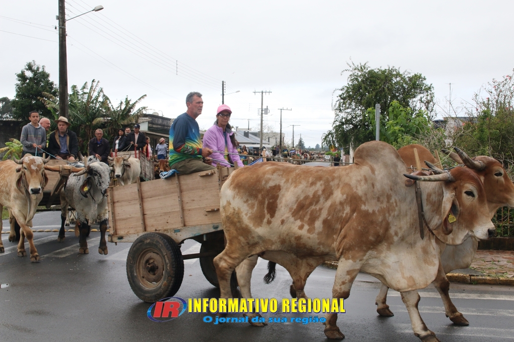 Imagem 17