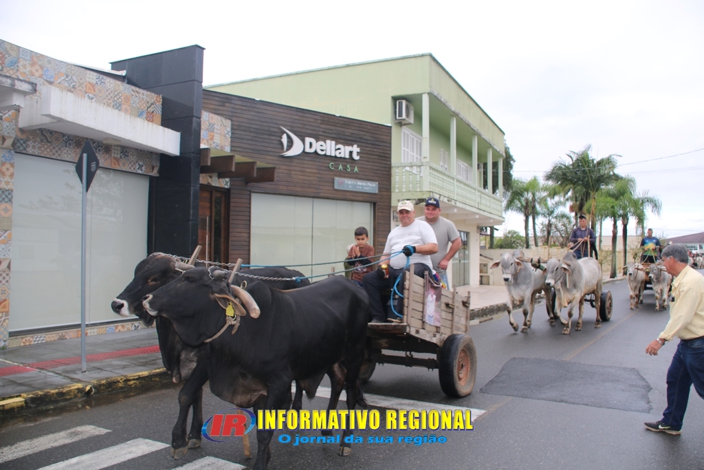Imagem 31