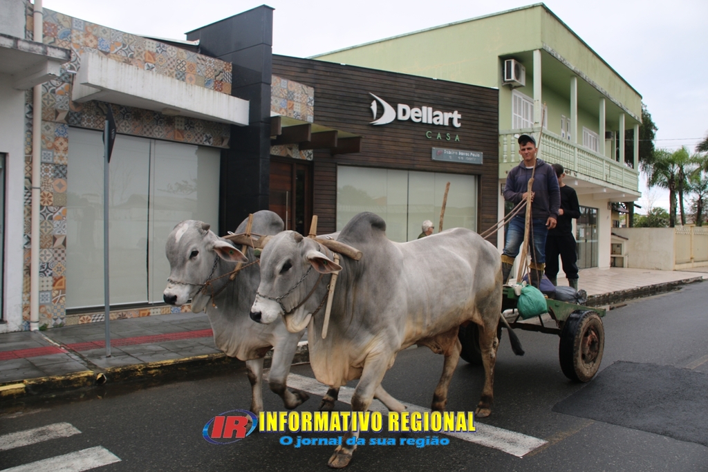 Imagem 32