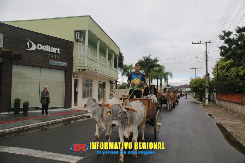 Imagem 33